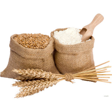 pure Wheat protein peptide
